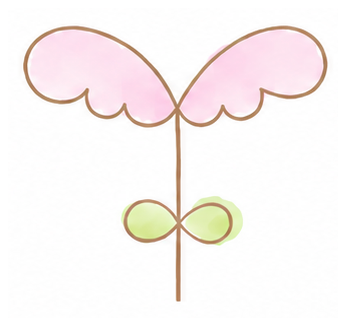 ずっと咲く花